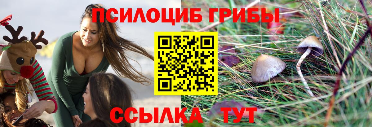 Новотроицк  Псилоцибиновые грибы GOLDEN TEACHER  Вход с VPN  Псилоцибиновые грибы MAGIC MUSHROOMS 